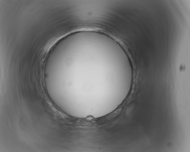 X0000112520337200908171118