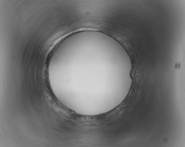 X0000112520338200908171118