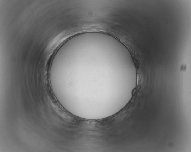 X0000112520339200908171118