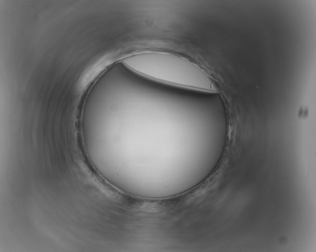 X0000112520341200908171118