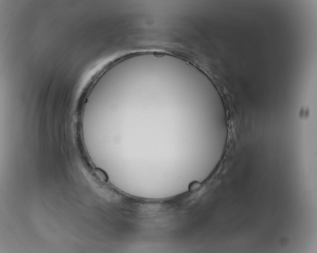 X0000112520342200908171118