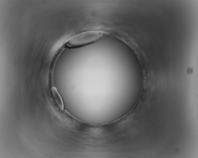 X0000112520344200908171118