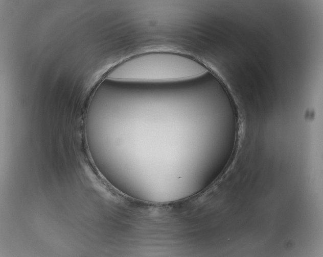 X0000112520345200908171118
