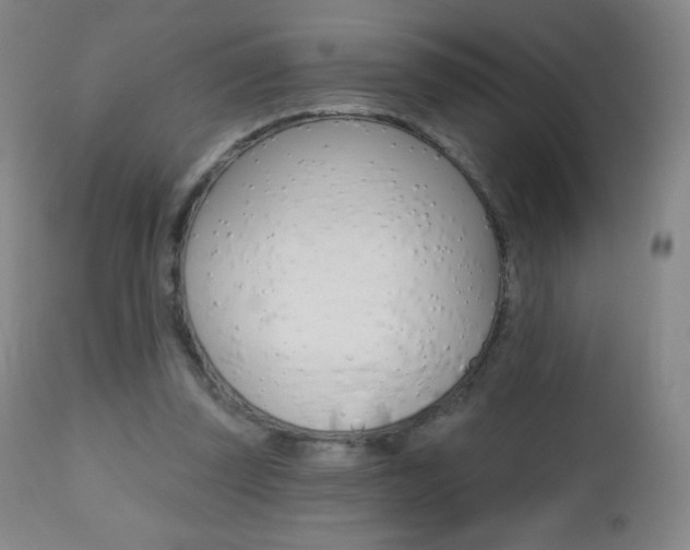 X0000112520347200908171118