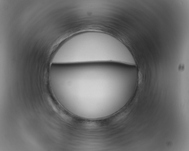 X0000112520349200908171118