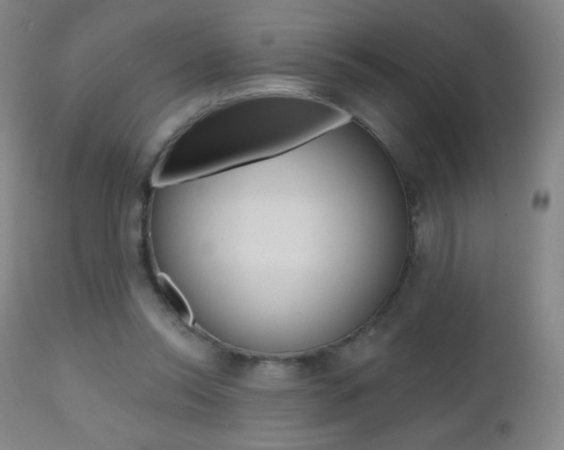 X0000112520350200908171118