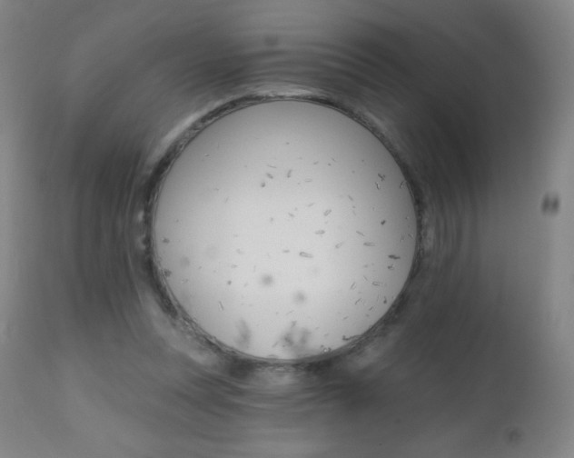 X0000112520351200908171118