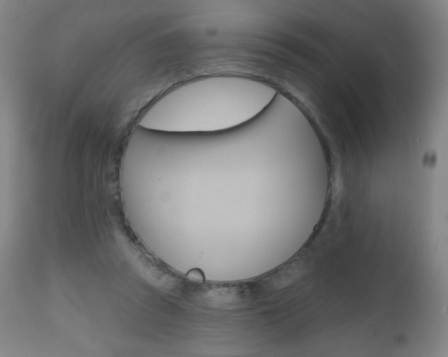 X0000112520353200908171118