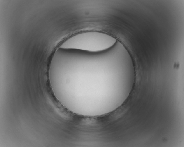 X0000112520354200908171118