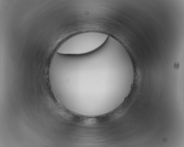 X0000112520355200908171118