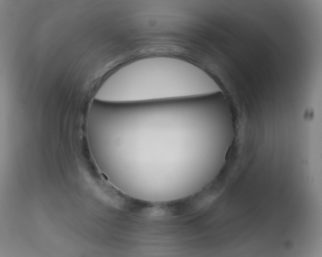 X0000112520356200908171118