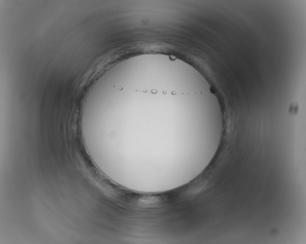 X0000112520357200908171118