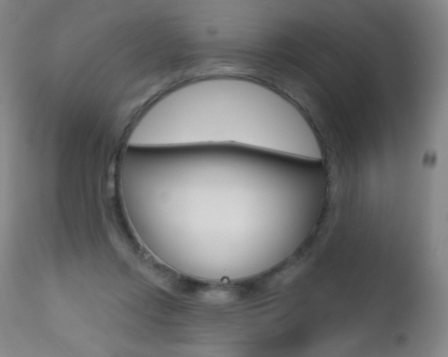 X0000112520358200908171118