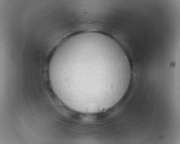 X0000112520359200908171118