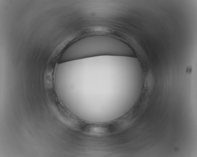 X0000112520360200908171118