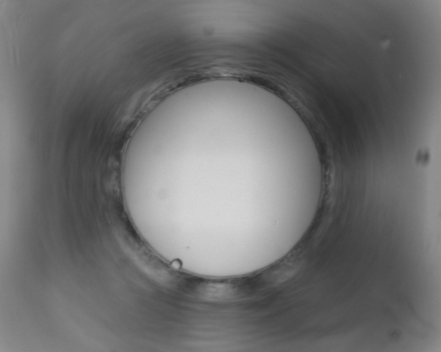 X0000112520361200908171118