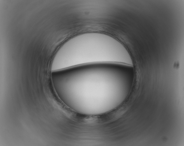 X0000112520362200908171118