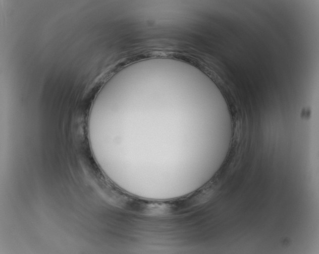 X0000112520363200908171118