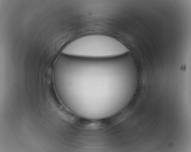 X0000112520364200908171118