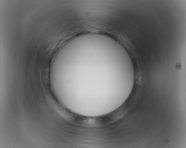 X0000112520365200908171118