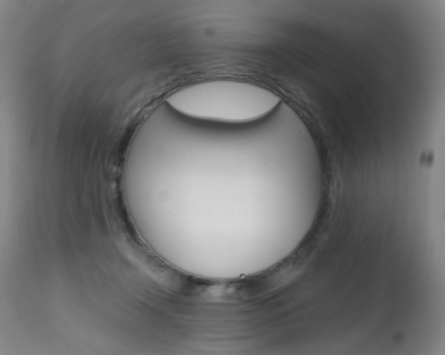 X0000112520366200908171118