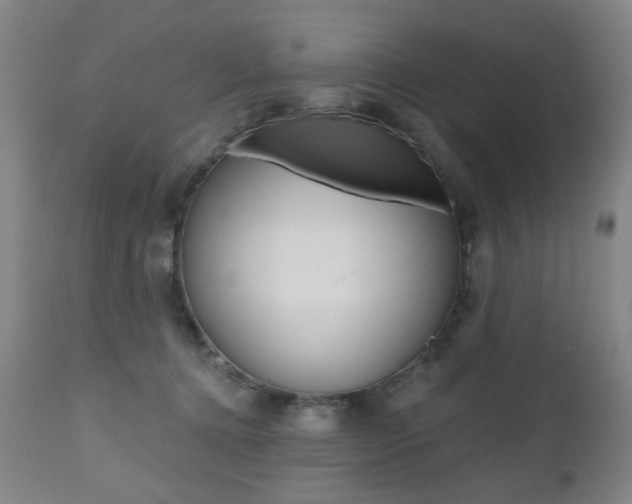 X0000112520368200908171118
