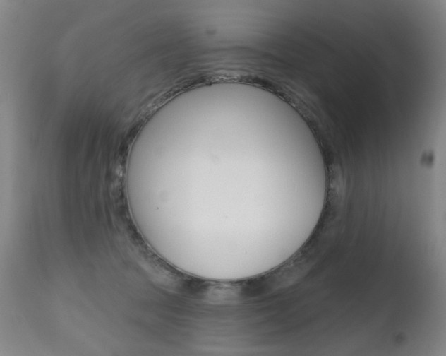 X0000112520369200908171118
