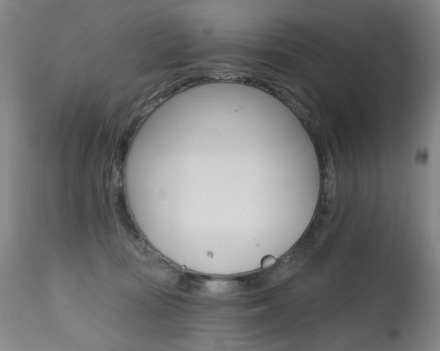 X0000112520371200908171118