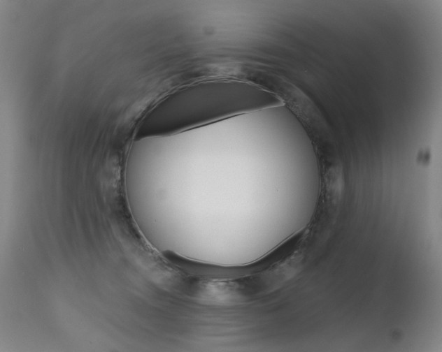 X0000112520372200908171118
