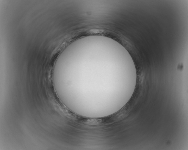 X0000112520373200908171118