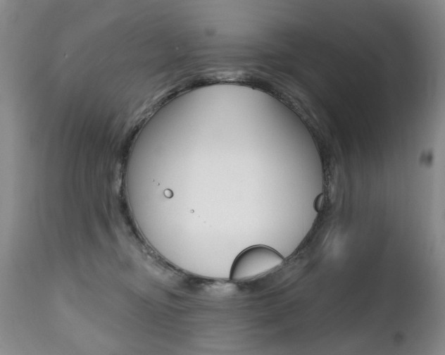 X0000112520374200908171118