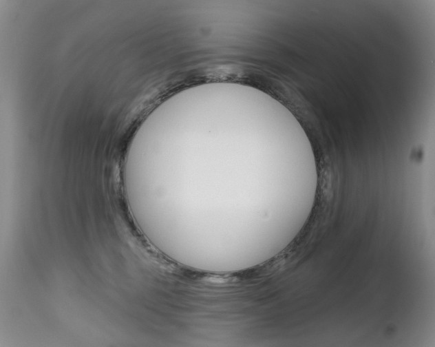 X0000112520375200908171118