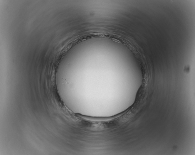 X0000112520376200908171118