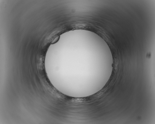 X0000112520378200908171118