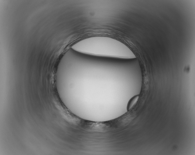 X0000112520379200908171118