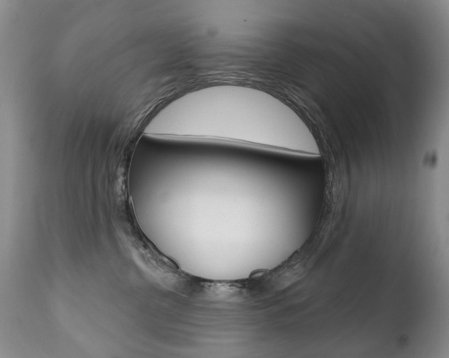 X0000112520380200908171118
