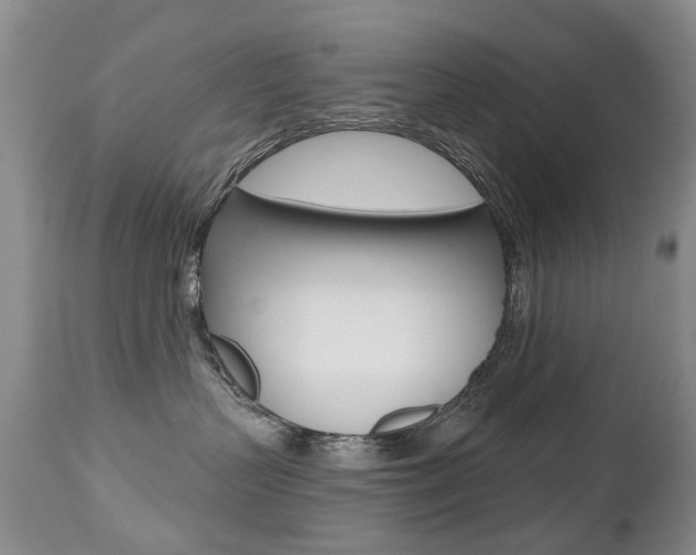 X0000112520383200908171118