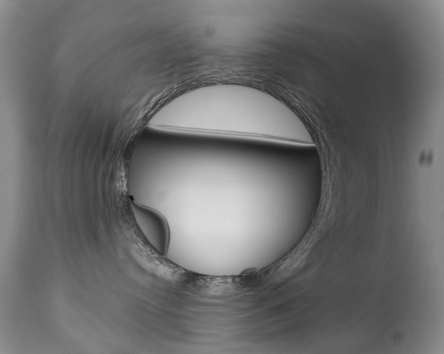 X0000112520384200908171118