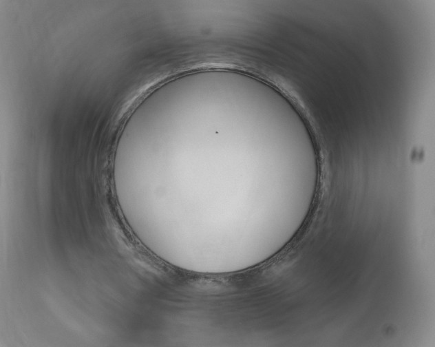 X0000112520386200908171118