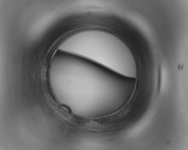 X0000112520387200908171118