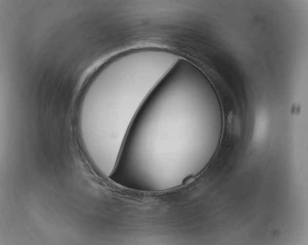 X0000112520388200908171118