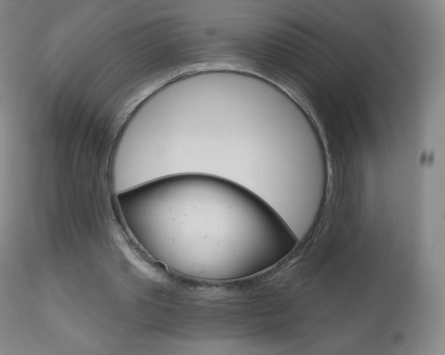 X0000112520389200908171118