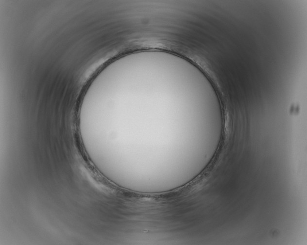 X0000112520390200908171118