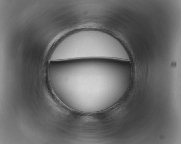 X0000112520392200908171117