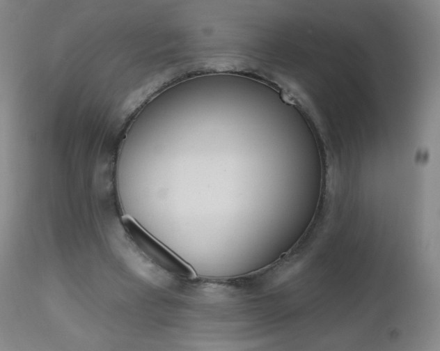 X0000112520393200908171117