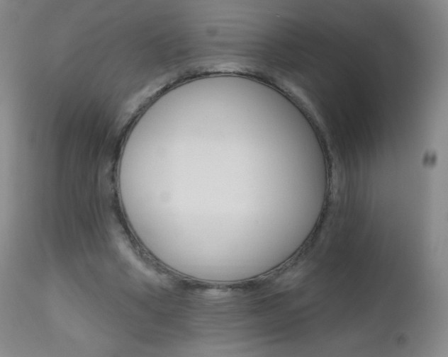 X0000112520394200908171117