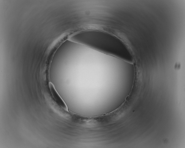 X0000112520395200908171117