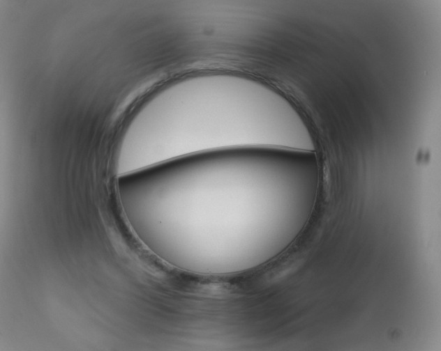 X0000112520396200908171117