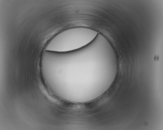 X0000112520398200908171117