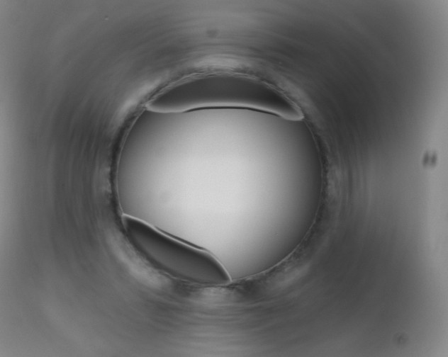X0000112520399200908171117